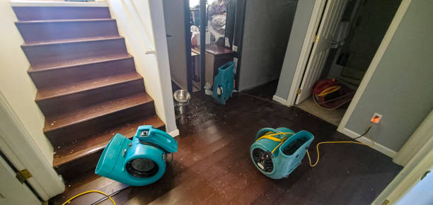 Best Fire Damage Restoration  in Glasgow, KY