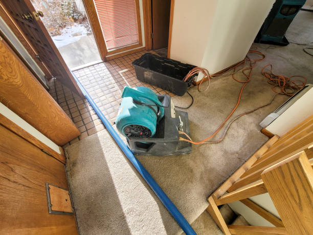 Best Flood damage cleanup  in Glasgow, KY