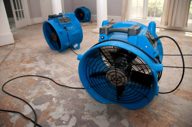 Best Water damage restoration near me  in Glasgow, KY