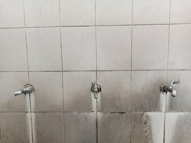 Best Sewage cleanup and water damage restoration  in Glasgow, KY