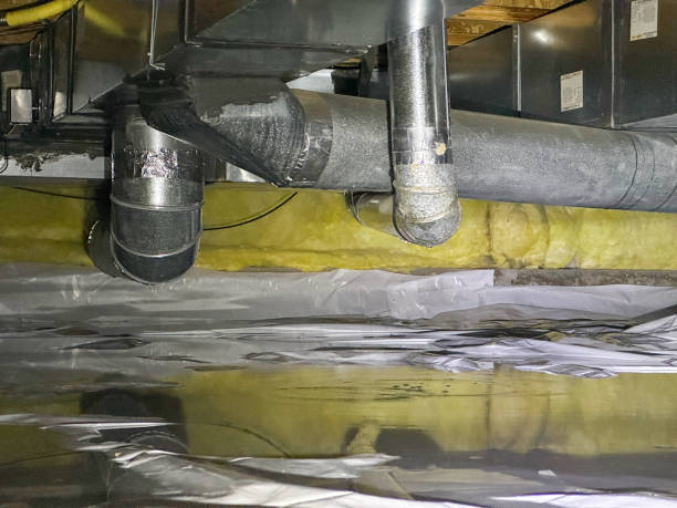 Best Mold removal after water damage  in Glasgow, KY